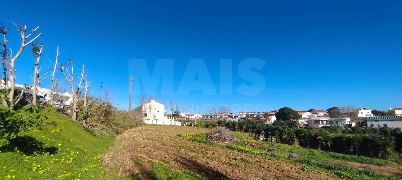 Terreno para Venda em Lourinhã e Atalaia Foto 8
