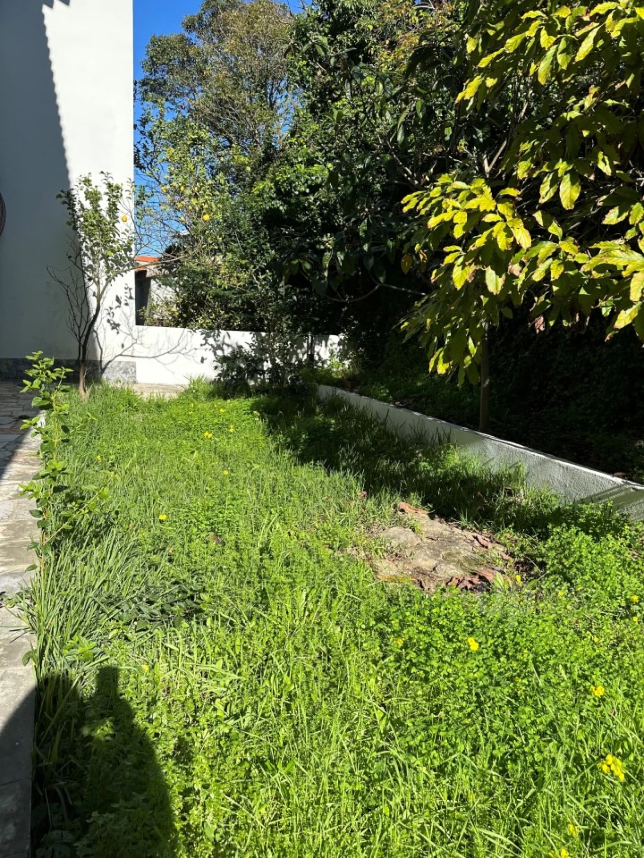 Apartamento T4 para Venda em Carcavelos e Parede Foto 31