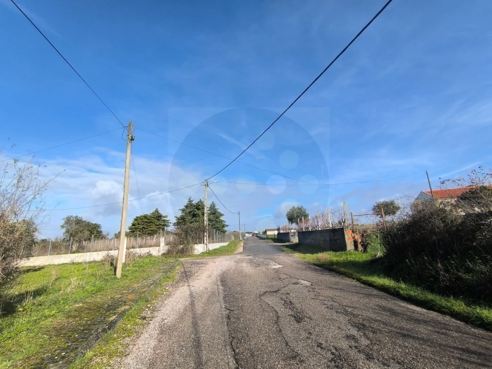 Terreno para Venda em Mouriscas Foto 3