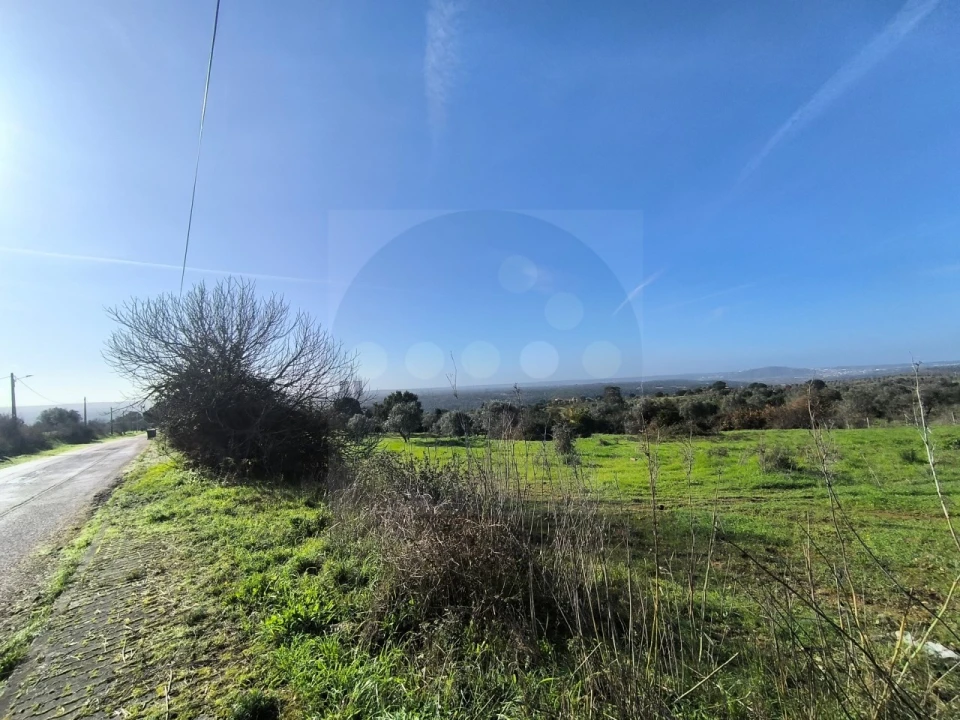 Terreno para Venda em Mouriscas Foto 5