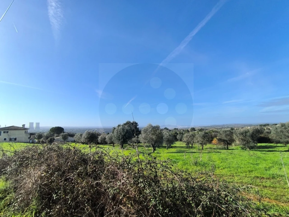 Terreno para Venda em Mouriscas Foto 12