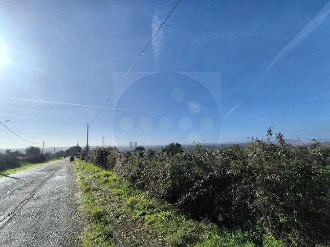 Terreno para Venda em Mouriscas Foto 7