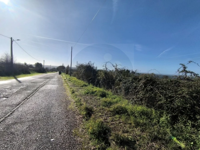 Terreno para Venda em Mouriscas Foto 8