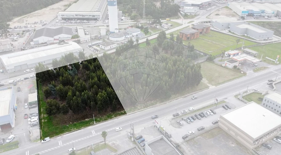 Terreno para Venda em Cacia Foto 1