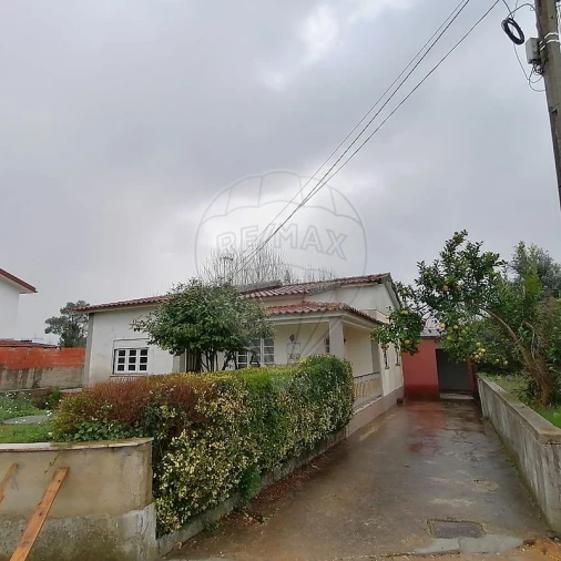 Moradia T3 para Venda em Bustos, Troviscal e Mamarrosa Foto 3