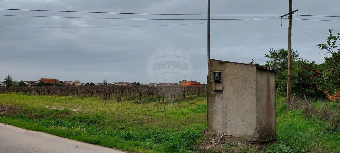 Terreno para Venda em Pontevel Foto 4