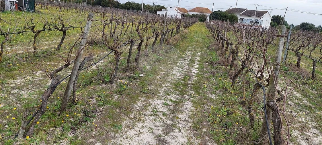 Terreno para Venda em Pontevel Foto 5