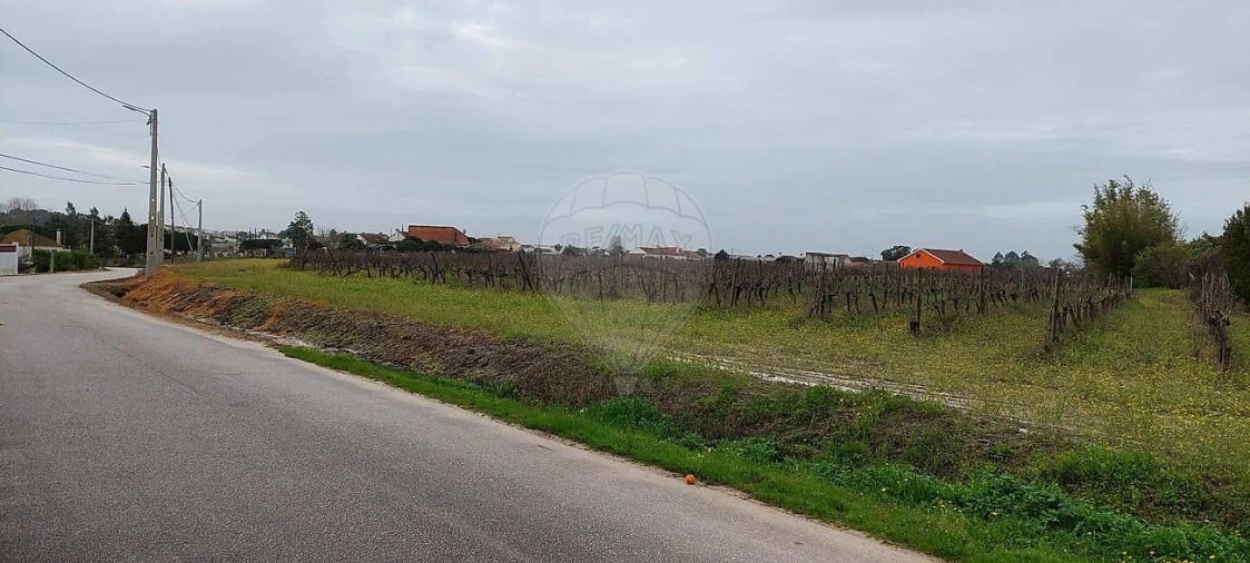 Terreno para Venda em Pontevel Foto 3