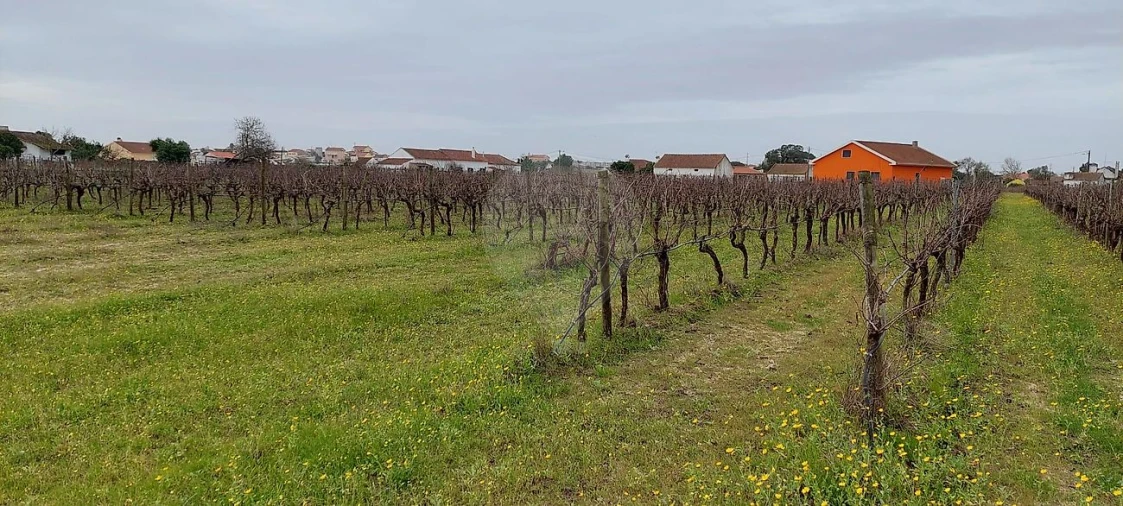 Terreno para Venda em Pontevel Foto 1
