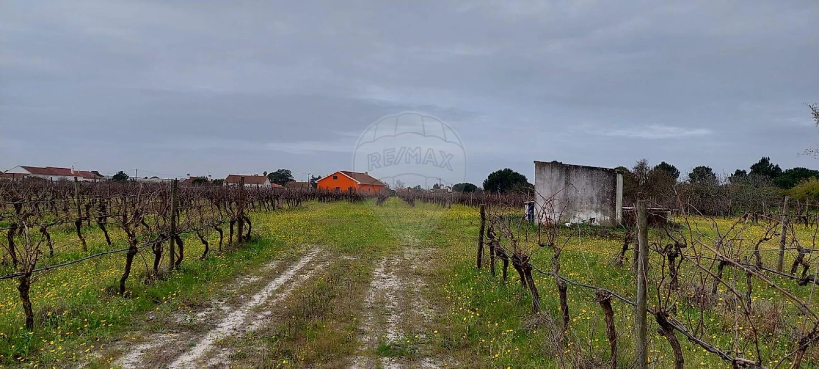 Terreno para Venda em Pontevel Foto 8