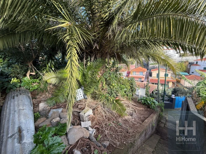 Terreno para Venda em Santo Antonio Foto 2