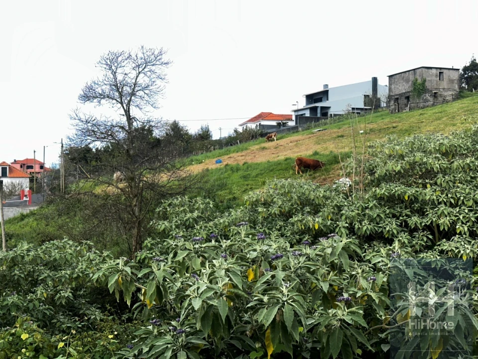 Moradia T3 para Venda em Santana Foto 18