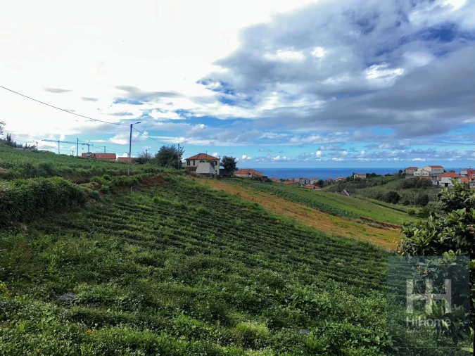 Moradia T3 para Venda em Santana Foto 4