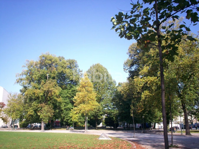 Apartamento T3 para Venda em Poiares (Santo Andre) Foto 13