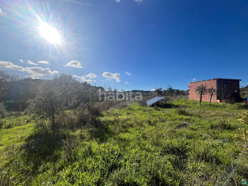 Terreno Misto para Venda em Cercal Foto 10
