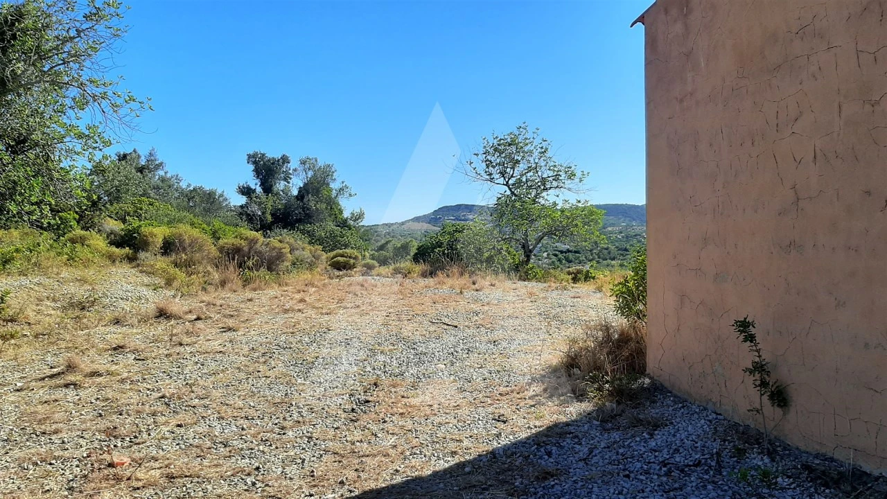 Terreno para Venda em Santa Barbara de Nexe Foto 5