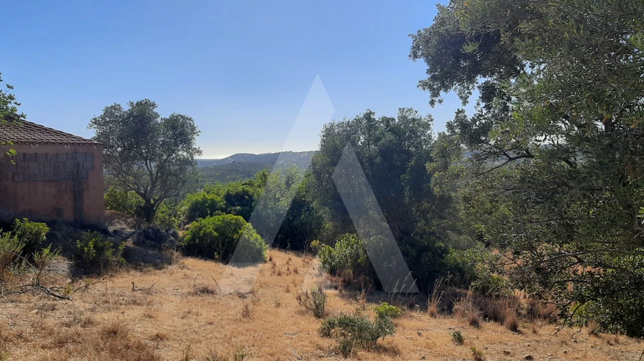 Terreno para Venda em Santa Barbara de Nexe Foto 8