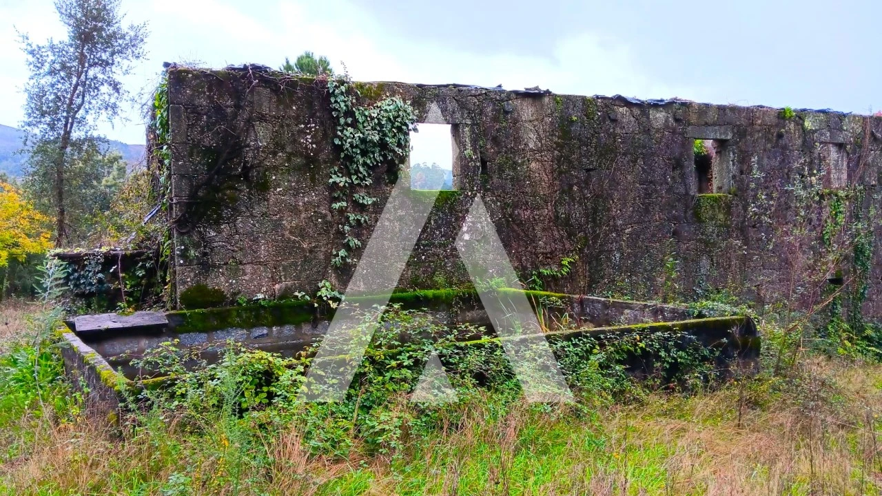 Quinta para Venda em Bouro (Santa Maria) Foto 4