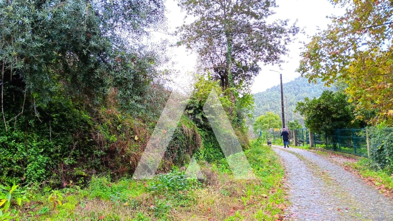 Quinta para Venda em Bouro (Santa Maria) Foto 11