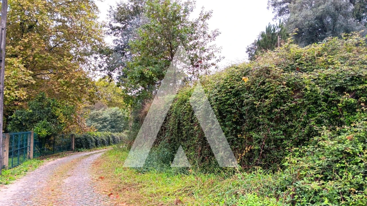 Quinta para Venda em Bouro (Santa Maria) Foto 13