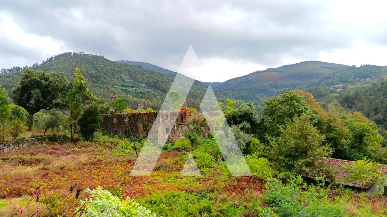 Quinta para Venda em Bouro (Santa Maria) Foto 8