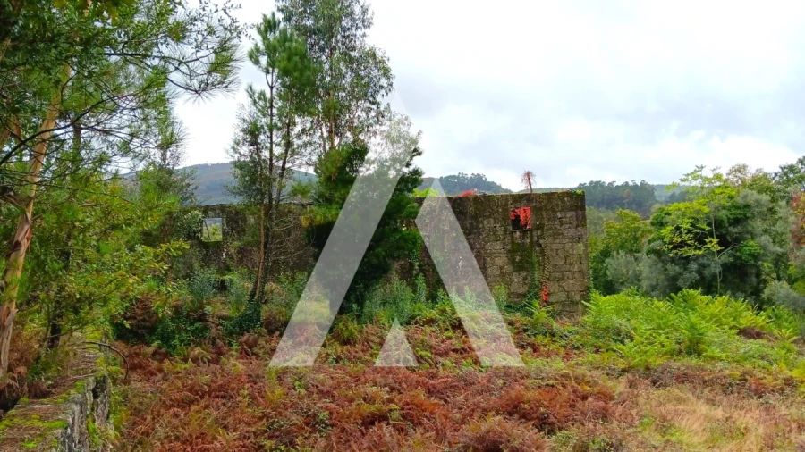 Quinta para Venda em Bouro (Santa Maria) Foto 16