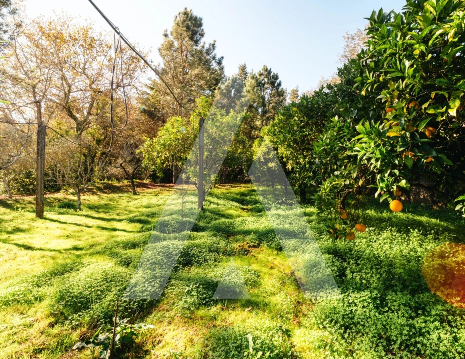 Moradia T3 para Venda em Carapinheira Foto 5