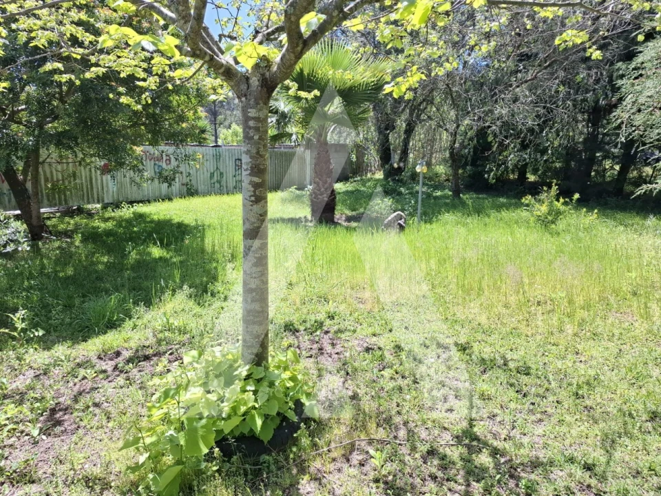 Moradia T3 para Venda em Carapinheira Foto 10