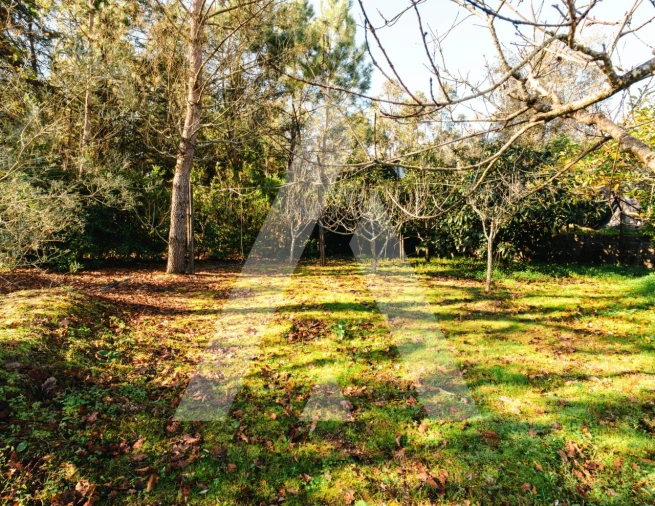 Moradia T3 para Venda em Carapinheira Foto 8