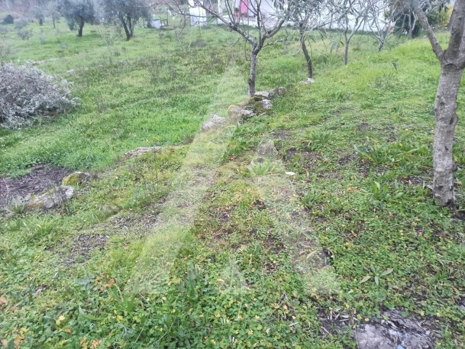 Armazém para Venda em Faíl e Vila Chã de Sá Foto 4