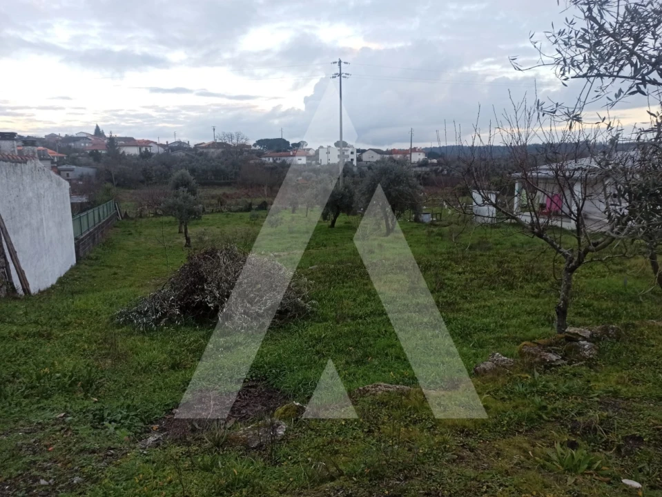 Armazém para Venda em Faíl e Vila Chã de Sá Foto 5