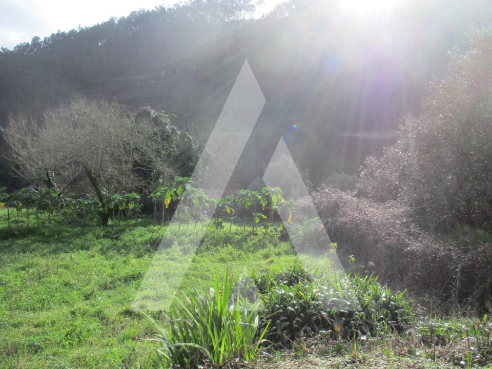 Terreno para Venda em Moita Foto 6