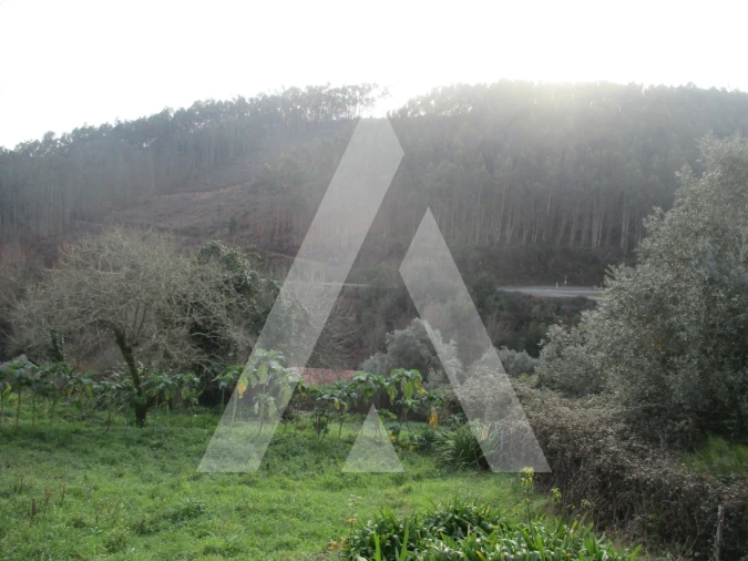 Terreno para Venda em Moita Foto 2