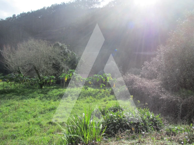 Terreno para Venda em Moita Foto 6