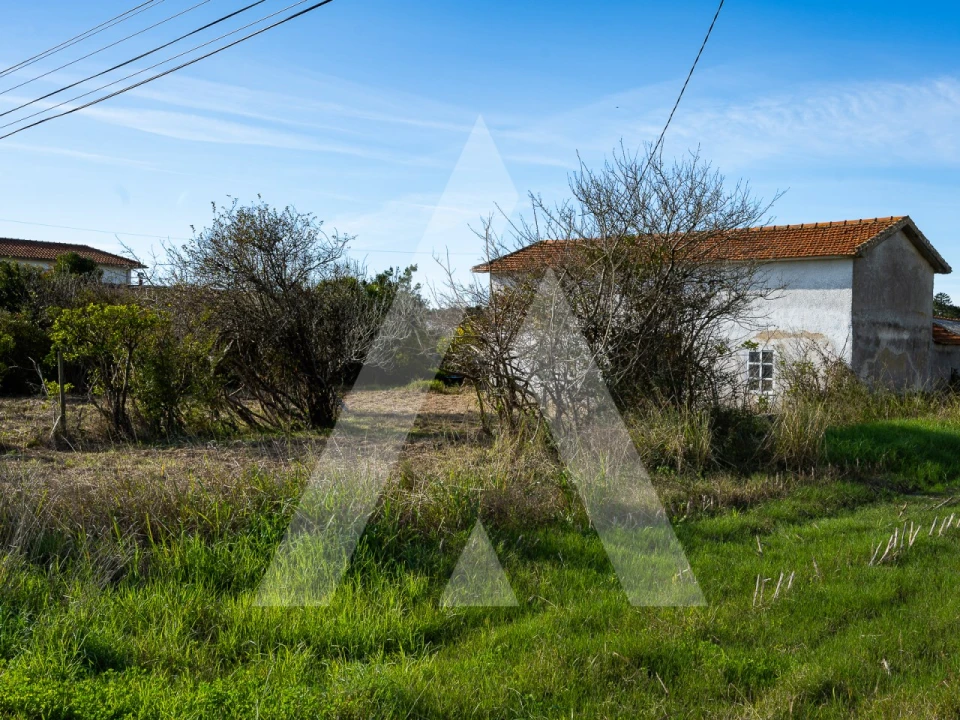 Moradia T3 para Venda em Ovar, São João, Arada e São Vicente de Pereira Jusã Foto 4