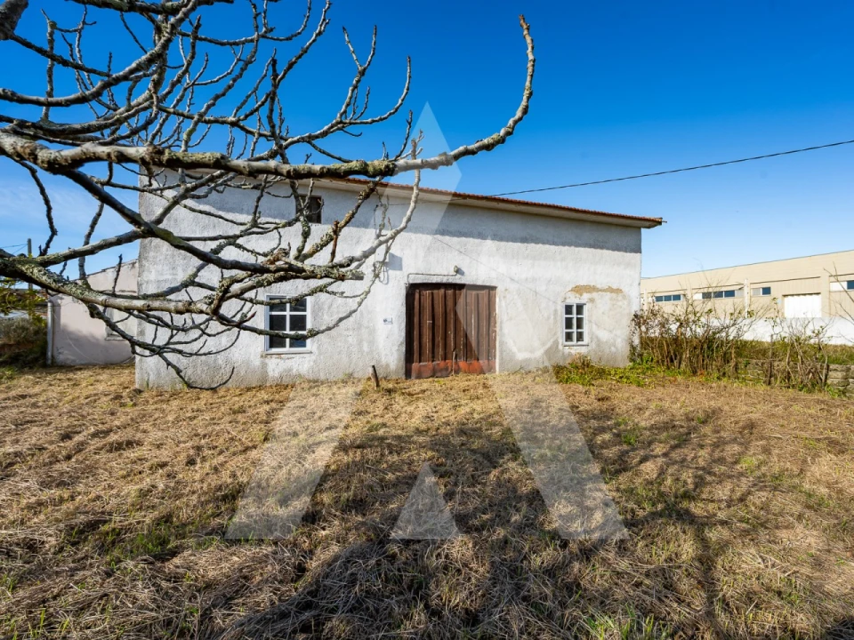 Moradia T3 para Venda em Ovar, São João, Arada e São Vicente de Pereira Jusã Foto 5