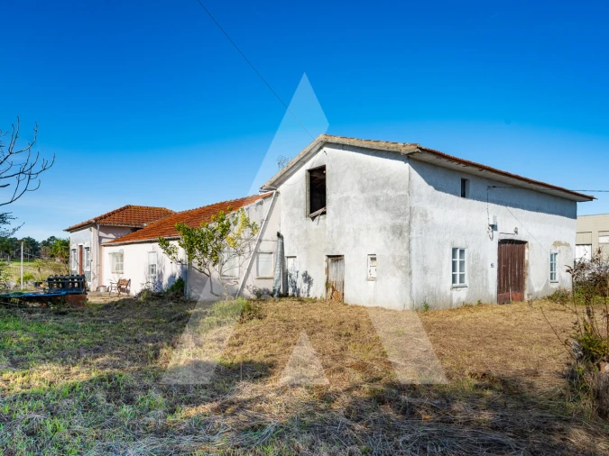 Moradia T3 para Venda em Ovar, São João, Arada e São Vicente de Pereira Jusã Foto 7