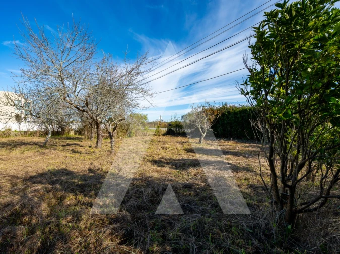 Moradia T3 para Venda em Ovar, São João, Arada e São Vicente de Pereira Jusã Foto 9
