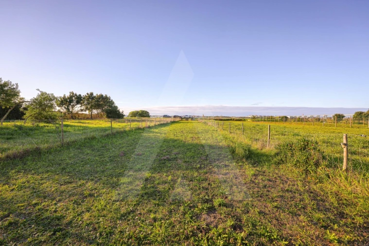 Terreno para Venda em Gafanha da Encarnação Foto 8
