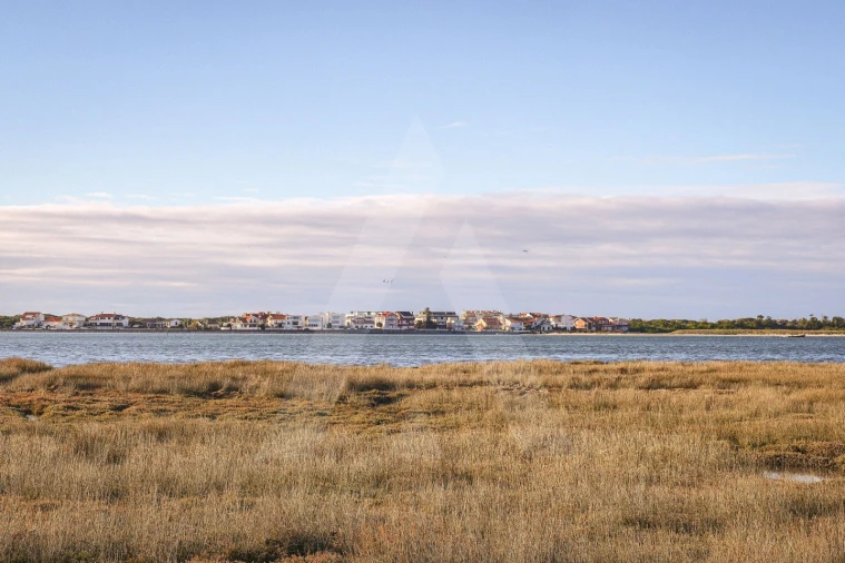 Terreno para Venda em Gafanha da Encarnação Foto 11