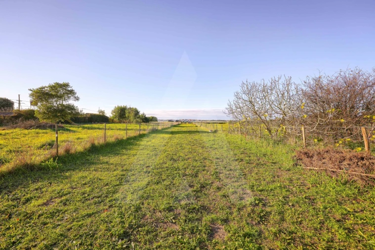 Terreno para Venda em Gafanha da Encarnação Foto 13