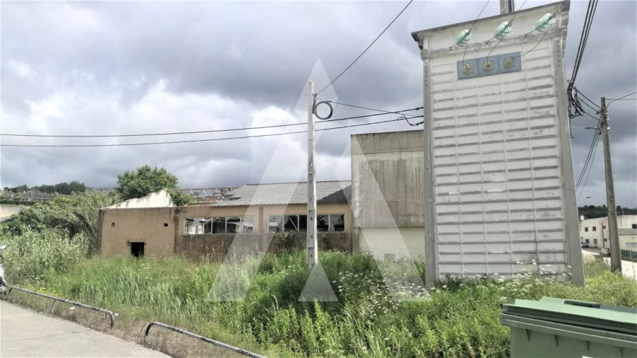 Armazém para Venda em Aljubarrota Foto 4