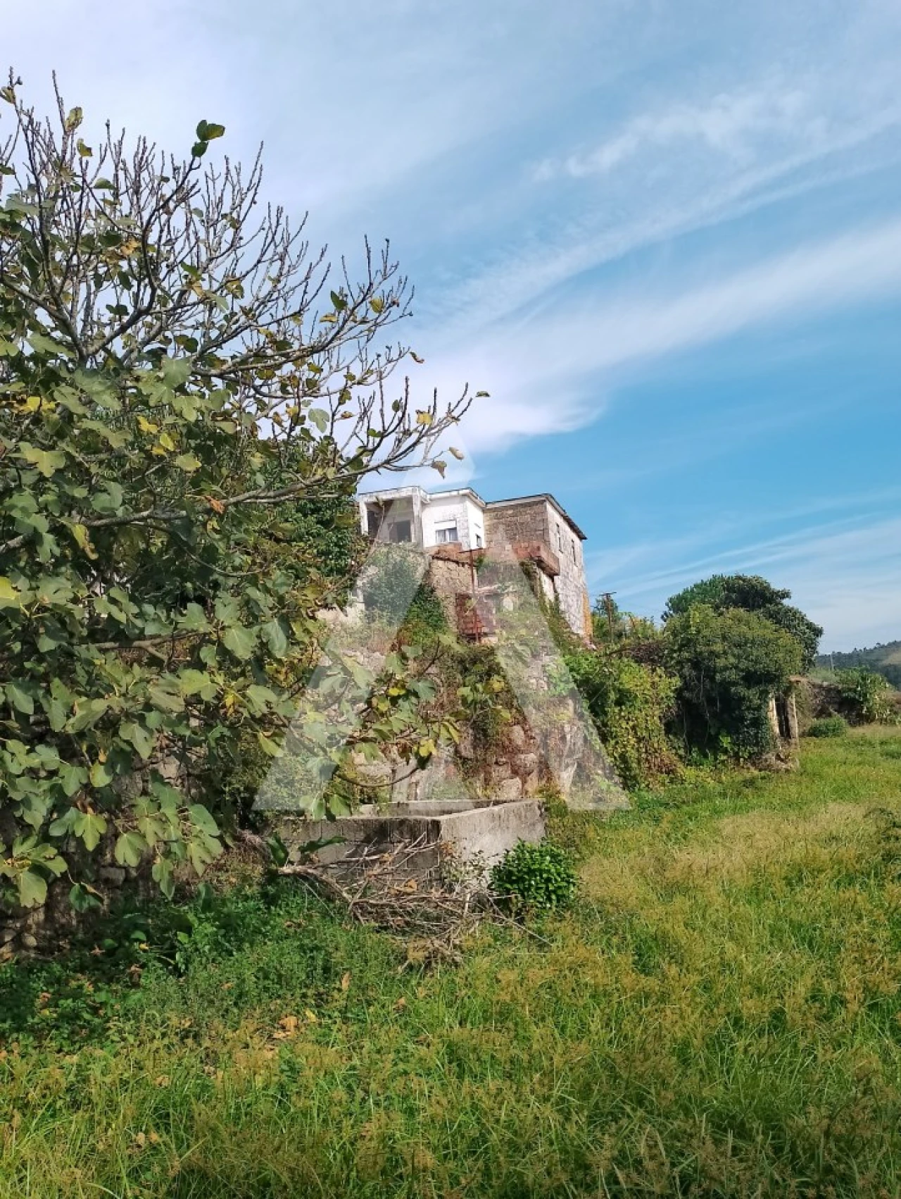 Quinta T2 para Venda em Barroselas e Carvoeiro Foto 3