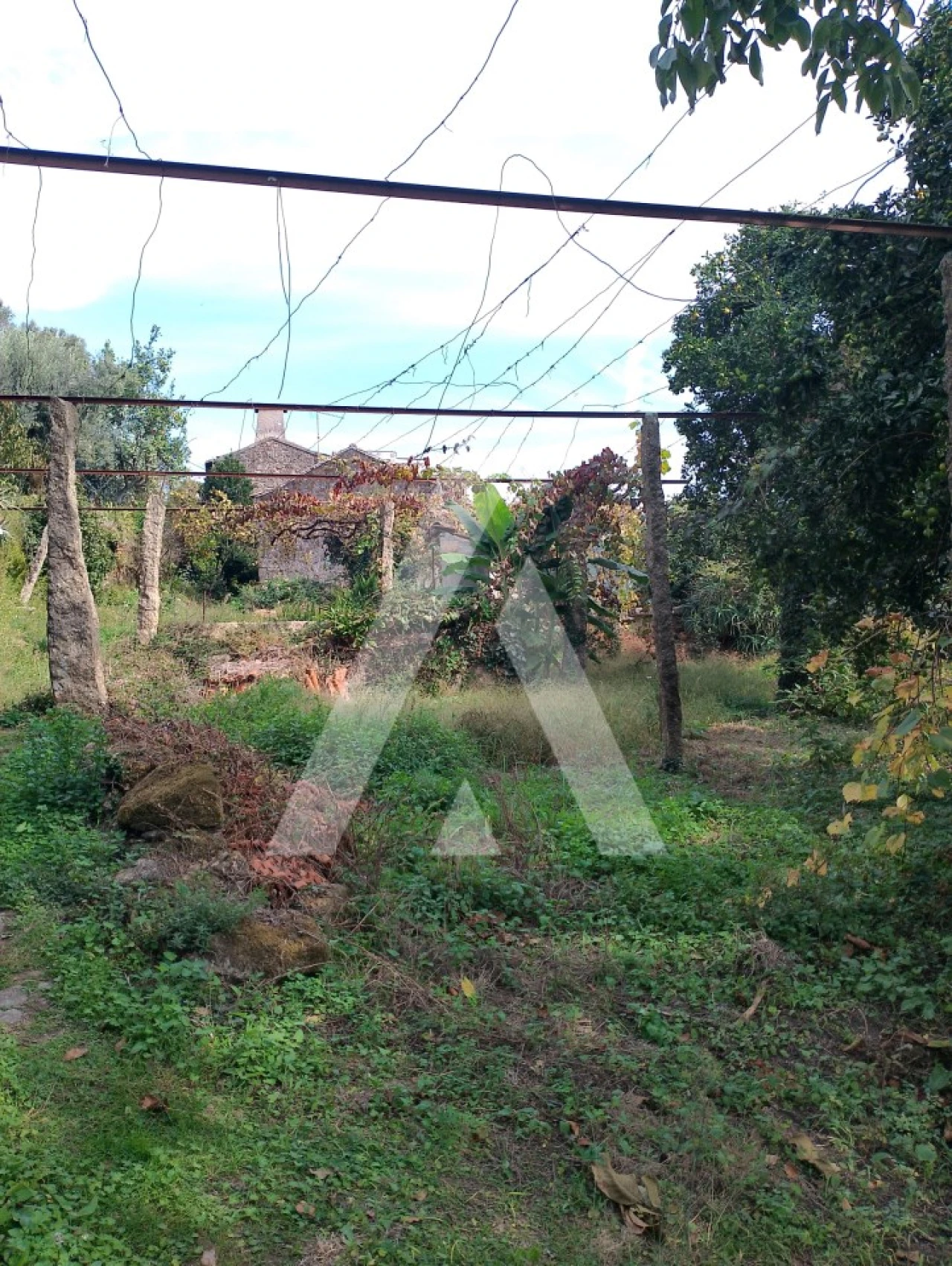 Quinta T2 para Venda em Barroselas e Carvoeiro Foto 20