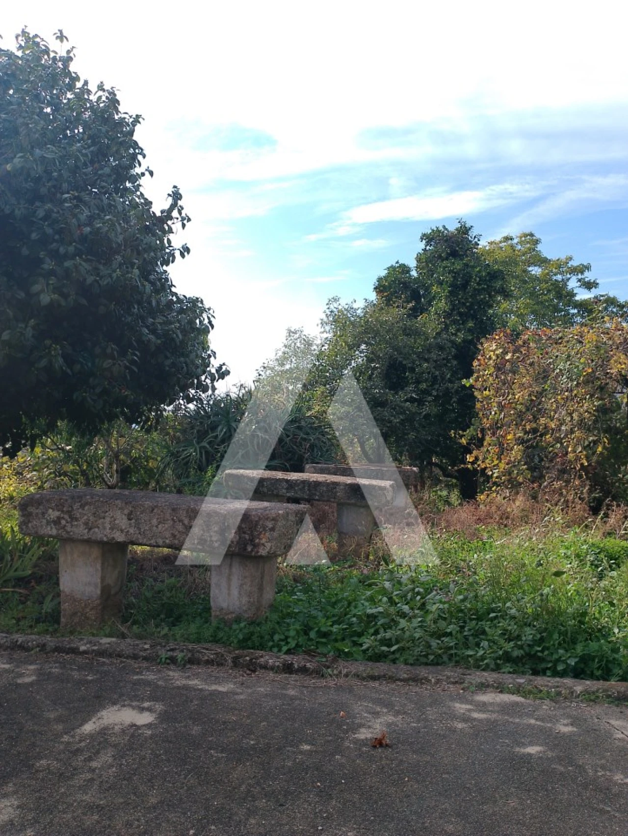 Quinta T2 para Venda em Barroselas e Carvoeiro Foto 21