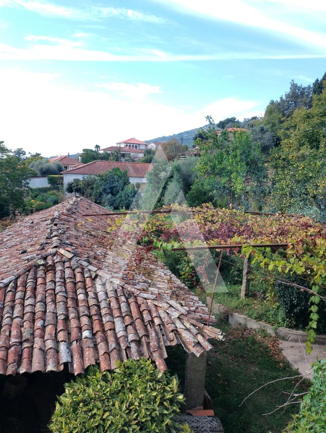 Quinta T2 para Venda em Barroselas e Carvoeiro Foto 17