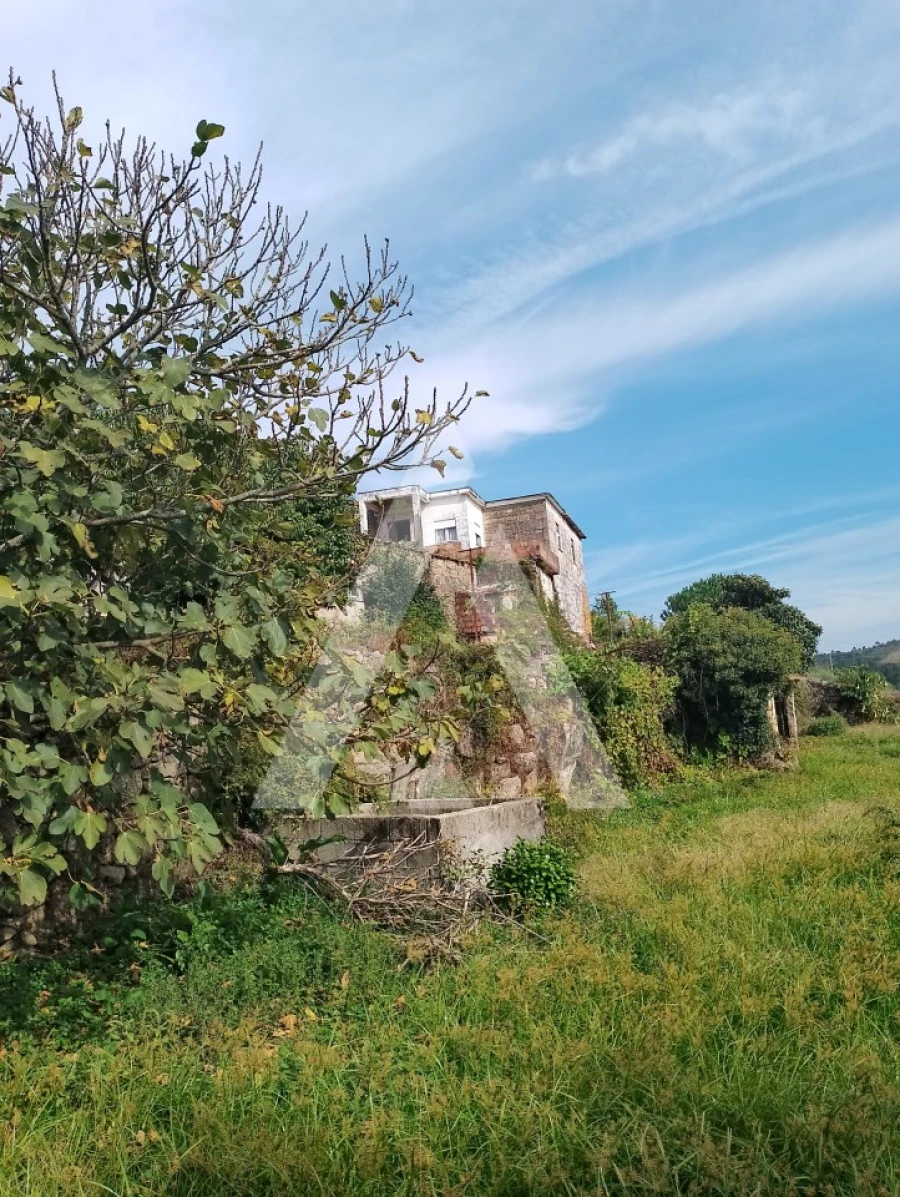 Quinta T2 para Venda em Barroselas e Carvoeiro Foto 3