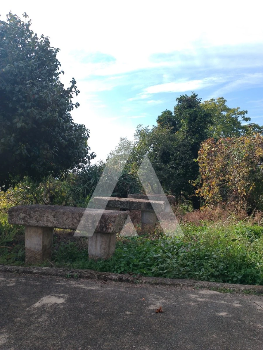 Quinta T2 para Venda em Barroselas e Carvoeiro Foto 21