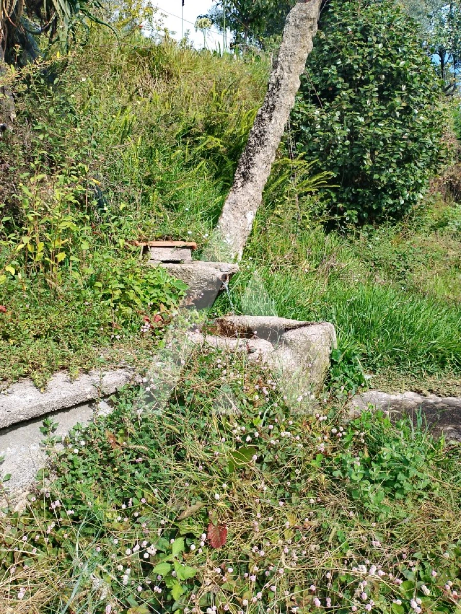 Quinta T2 para Venda em Barroselas e Carvoeiro Foto 22