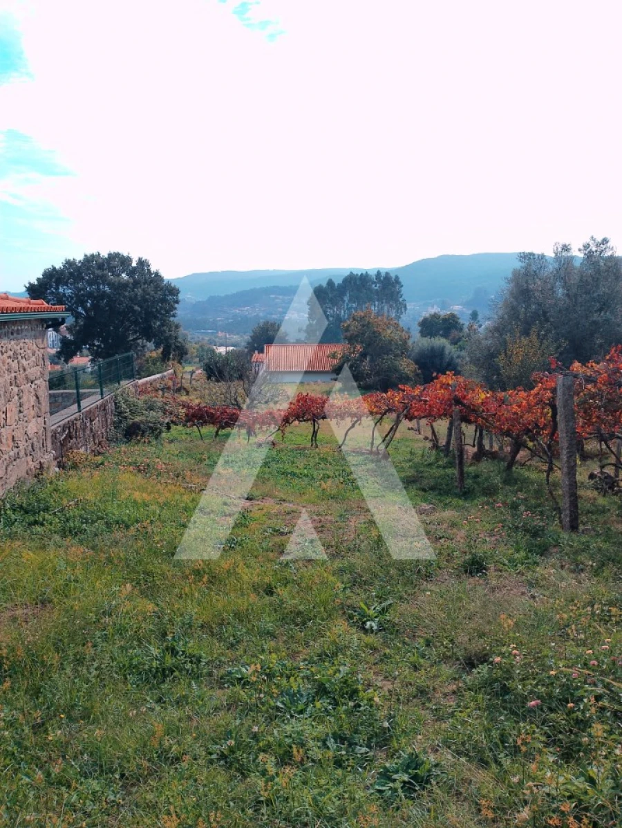 Terreno para Venda em Barroselas e Carvoeiro Foto 3